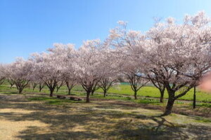 リフレッシュパーク下條1